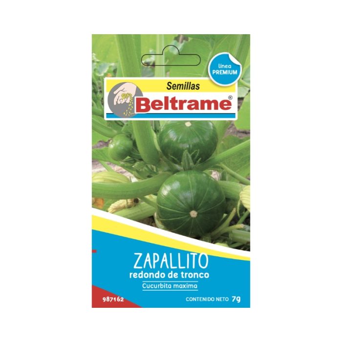 Semillas de Zapallito redondo de tronco - Beltrame