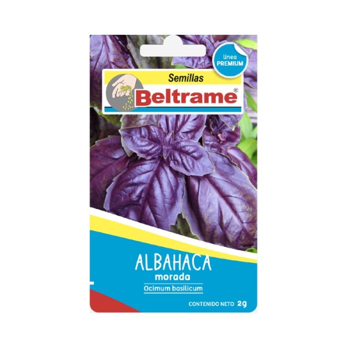 Semillas de Albahaca morada