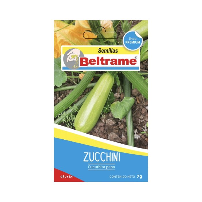 Semillas de Zucchini - Beltrame