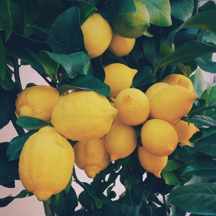 Limonero