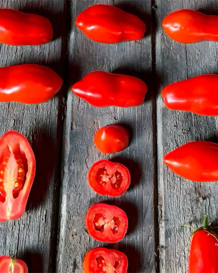 Tomate san marzano