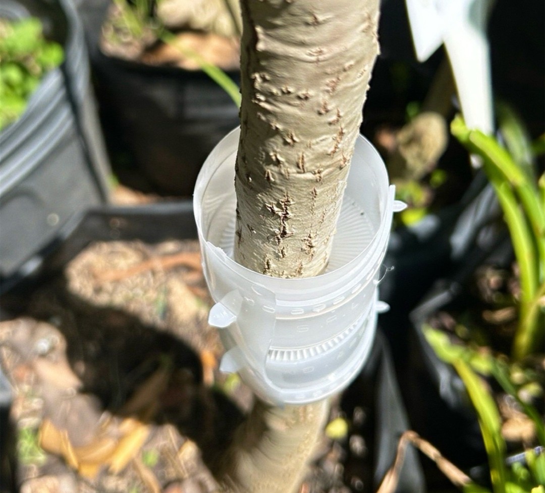 Barrera Anti Hormigas Encastrable - Imagen 3
